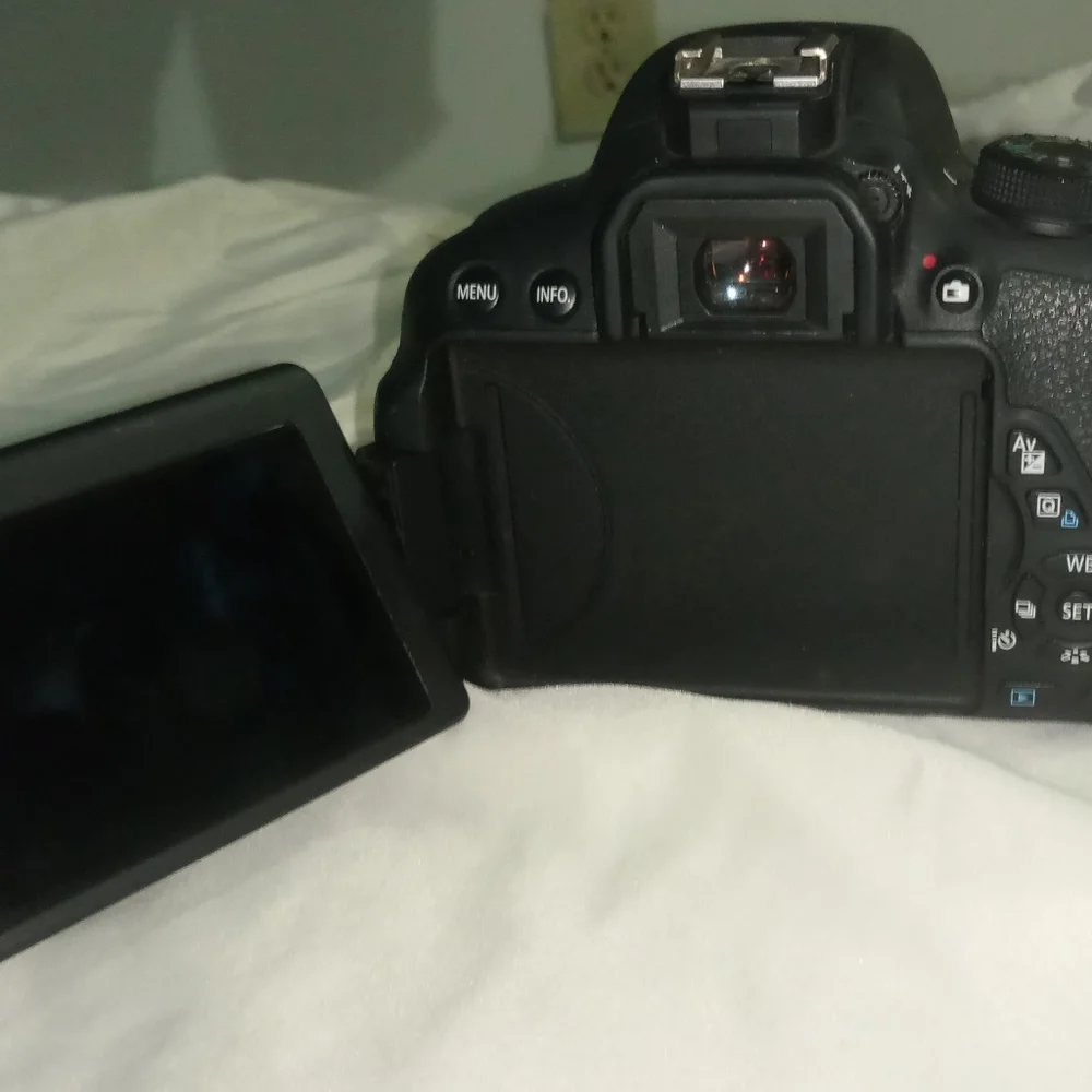 canon efs 55-250mm lens used with Canon EOS Rebel T5i